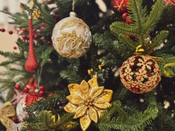 Галина Буевич поздравляет с Новым годом