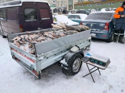 В АКЗС обсудят предложение Барнаульской Думы по увеличению штрафов за незаконную нестационарную торговлю