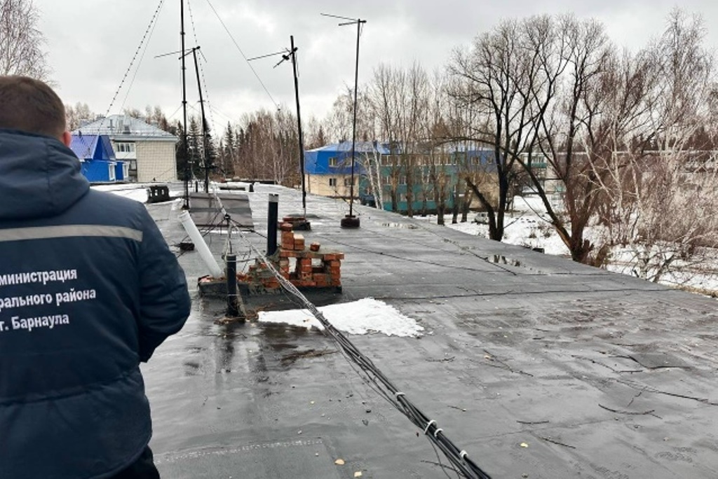авкопашвили (2).jpg